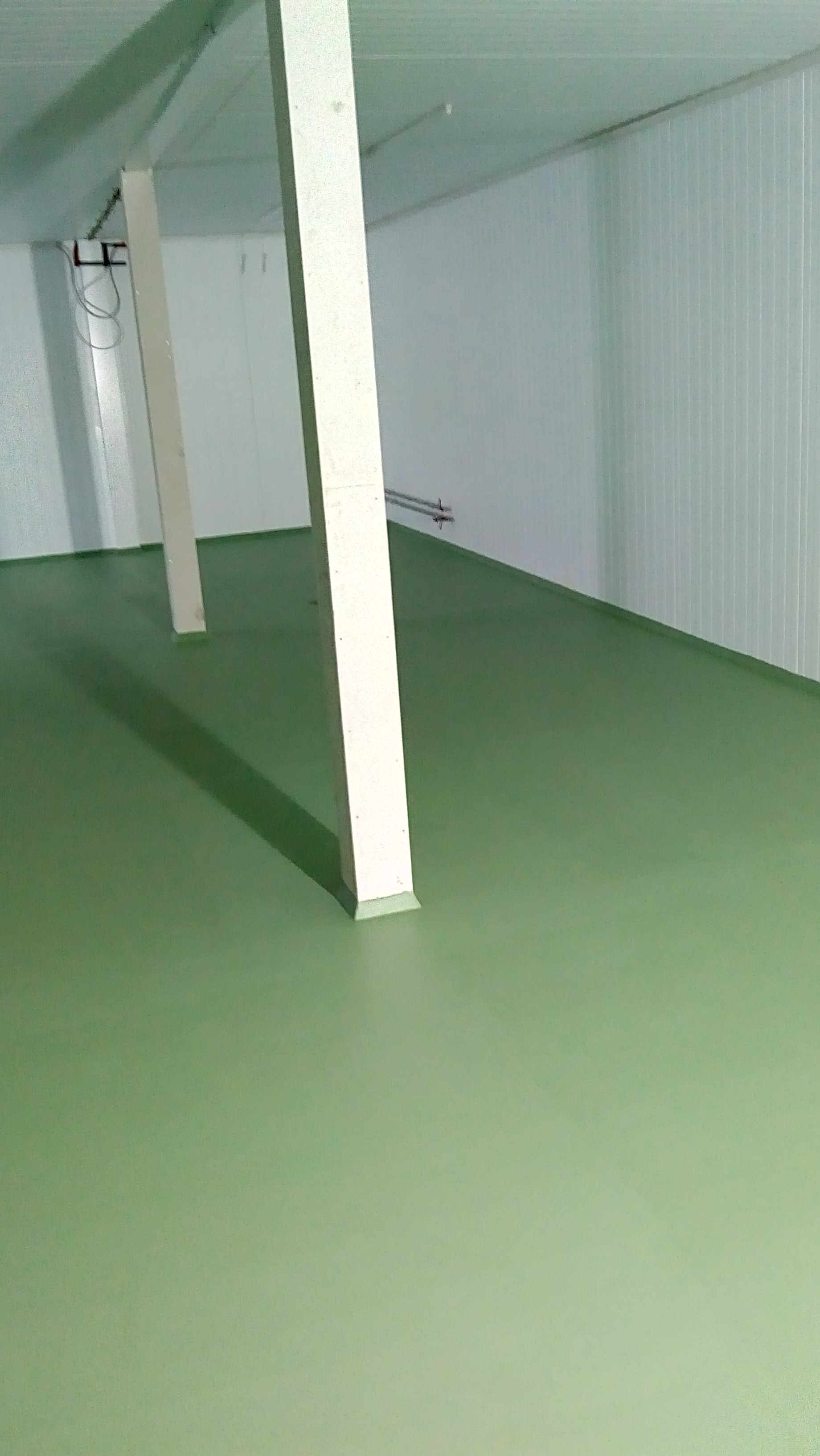 Projekt 2